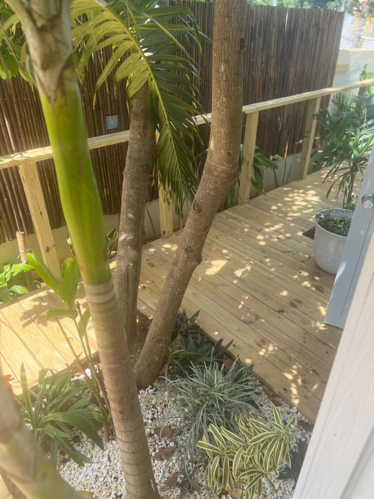 Bella Noni B&B Aguadilla Luaran gambar